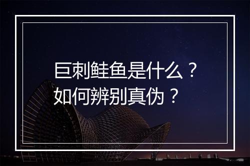 巨刺鲑鱼是什么？如何辨别真伪？