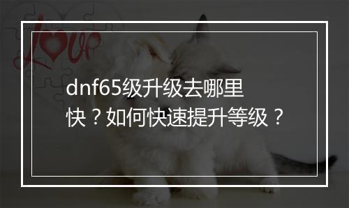 dnf65级升级去哪里快？如何快速提升等级？