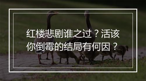 红楼悲剧谁之过？活该你倒霉的结局有何因？