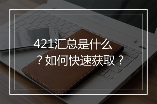 421汇总是什么?如何快速获取?
