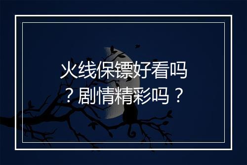 火线保镖好看吗？剧情精彩吗？