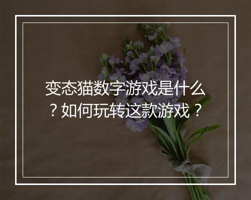 变态猫数字游戏是什么？如何玩转这款游戏？