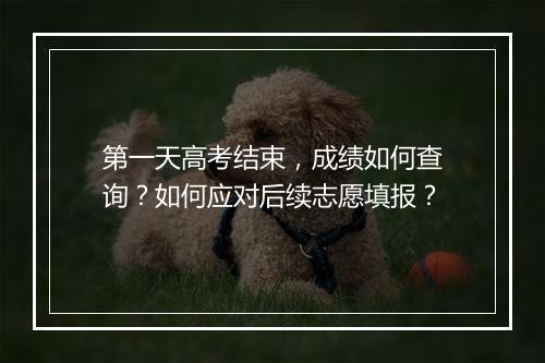 第一天高考结束,成绩如何查询?如何应对后续志愿填报?