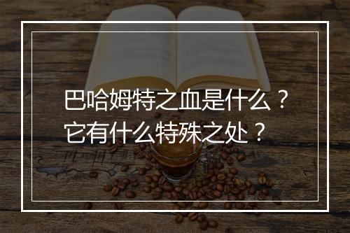 巴哈姆特之血是什么？它有什么特殊之处？