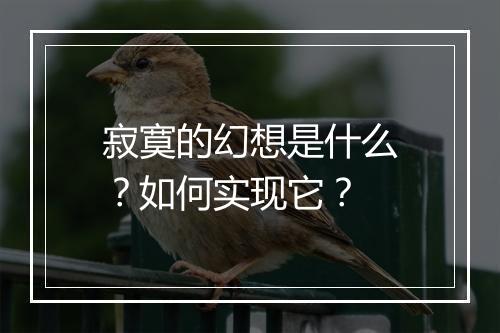 寂寞的幻想是什么？如何实现它？