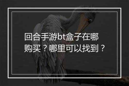 回合手游bt盒子在哪购买？哪里可以找到？