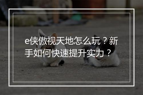 e侠傲视天地怎么玩？新手如何快速提升实力？