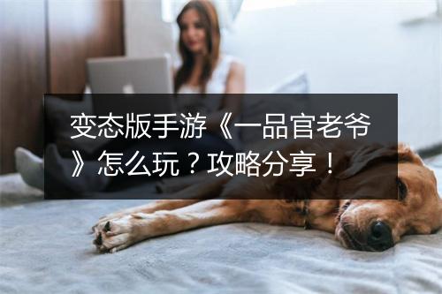 变态版手游《一品官老爷》怎么玩?攻略分享!