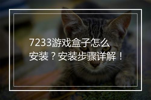 7233游戏盒子怎么安装？安装步骤详解！