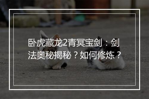 卧虎藏龙2青冥宝剑:剑法奥秘揭秘?如何修炼?