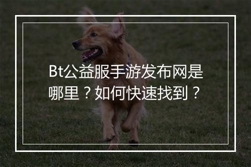 Bt公益服手游发布网是哪里？如何快速找到？