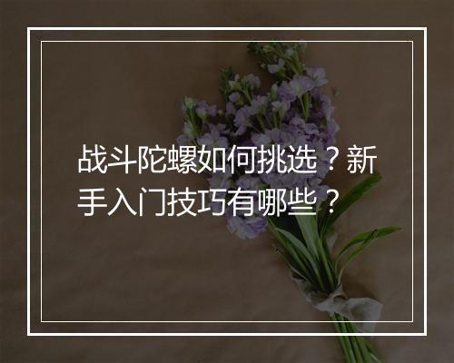 战斗陀螺如何挑选？新手入门技巧有哪些？