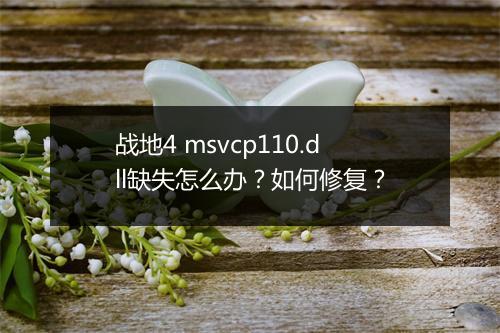战地4 msvcp110.dll缺失怎么办?如何修复?