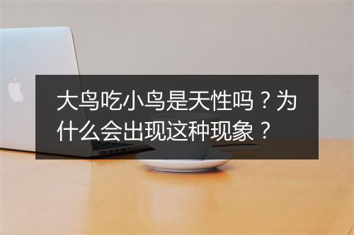 大鸟吃小鸟是天性吗?为什么会出现这种现象?