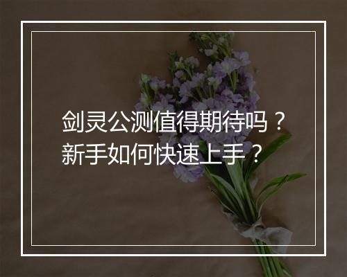 剑灵公测值得期待吗?新手如何快速上手?