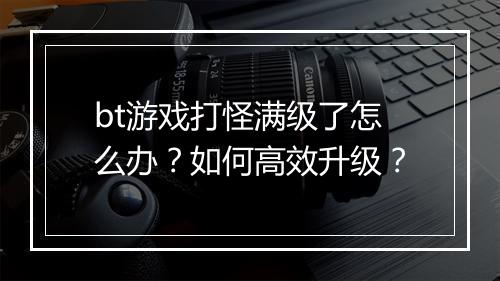 bt游戏打怪满级了怎么办？如何高效升级？