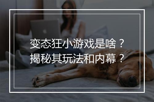 变态狂小游戏是啥？揭秘其玩法和内幕？