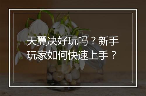 天翼决好玩吗?新手玩家如何快速上手?