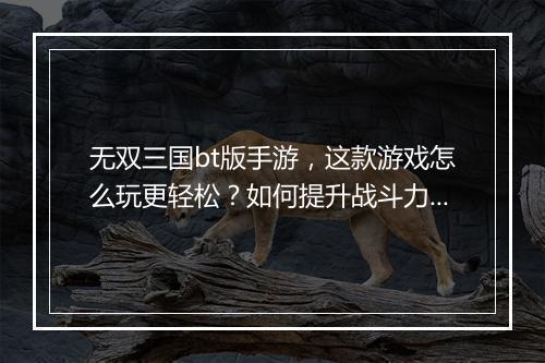 无双三国bt版手游，这款游戏怎么玩更轻松？如何提升战斗力？
