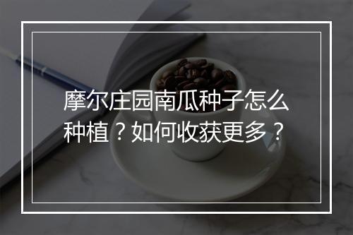 摩尔庄园南瓜种子怎么种植？如何收获更多？