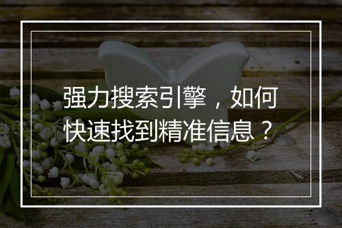 强力搜索引擎，如何快速找到精准信息？