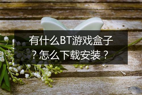 有什么BT游戏盒子？怎么下载安装？