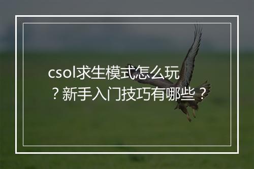 csol求生模式怎么玩？新手入门技巧有哪些？