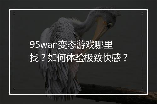 95wan变态游戏哪里找？如何体验极致快感？