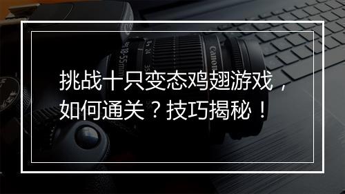 挑战十只变态鸡翅游戏，如何通关？技巧揭秘！