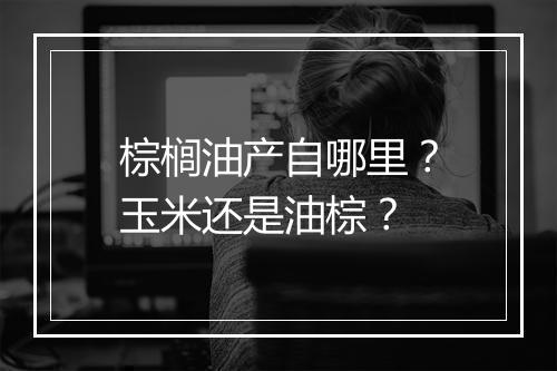 棕榈油产自哪里？玉米还是油棕？