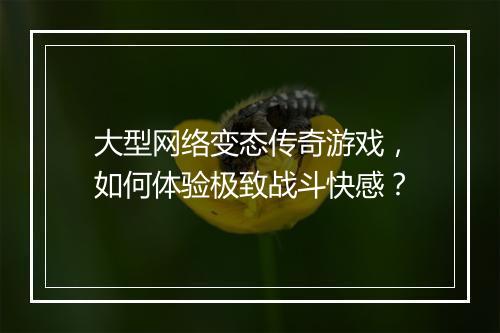 大型网络变态传奇游戏,如何体验极致战斗快感?