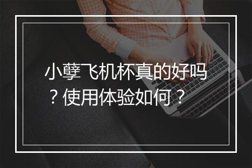 小孽飞机杯真的好吗？使用体验如何？