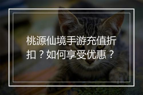 桃源仙境手游充值折扣？如何享受优惠？