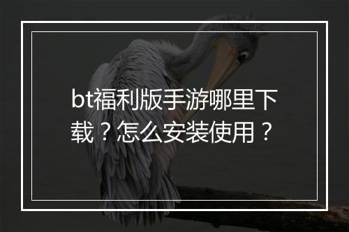 bt福利版手游哪里下载？怎么安装使用？