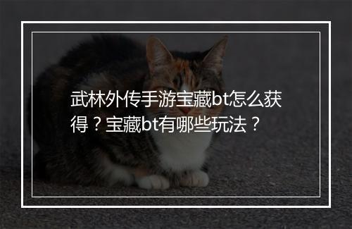 武林外传手游宝藏bt怎么获得?宝藏bt有哪些玩法?
