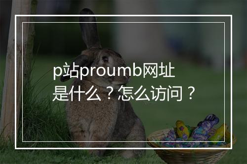 p站proumb网址是什么？怎么访问？