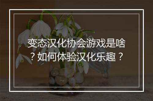 变态汉化协会游戏是啥?如何体验汉化乐趣?