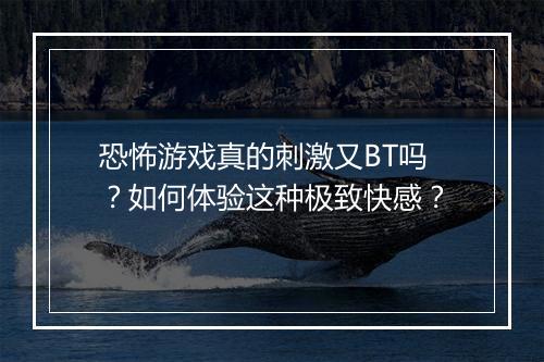 恐怖游戏真的刺激又BT吗？如何体验这种极致快感？