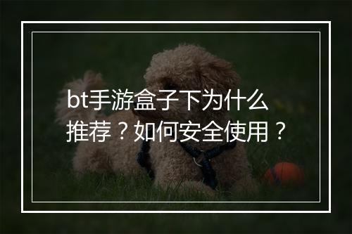 bt手游盒子下为什么推荐?如何安全使用?