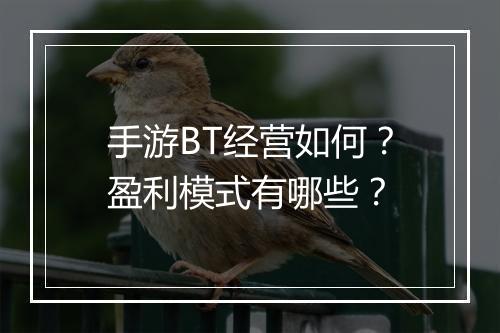 手游BT经营如何？盈利模式有哪些？