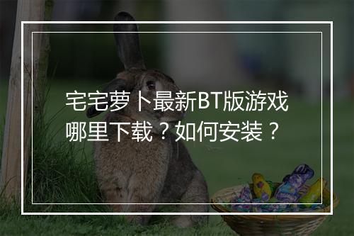 宅宅萝卜最新BT版游戏哪里下载？如何安装？