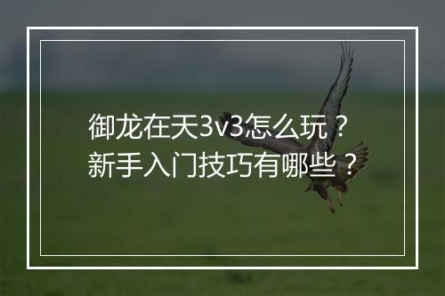 御龙在天3v3怎么玩？新手入门技巧有哪些？