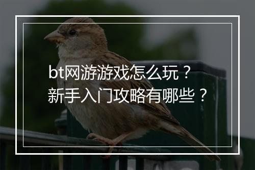 bt网游游戏怎么玩？新手入门攻略有哪些？