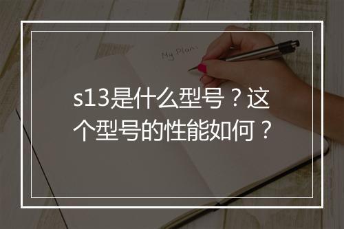 s13是什么型号？这个型号的性能如何？