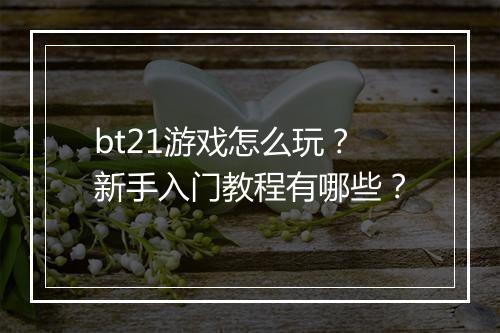 bt21游戏怎么玩?新手入门教程有哪些?