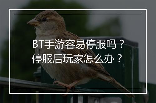 BT手游容易停服吗？停服后玩家怎么办？