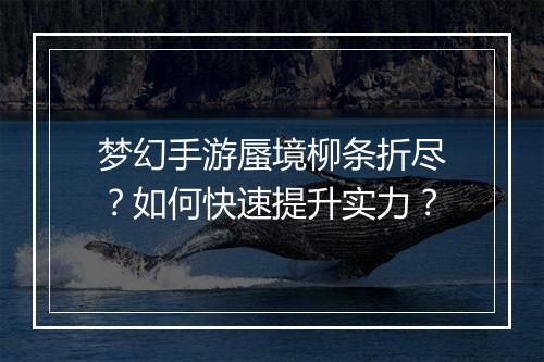 梦幻手游蜃境柳条折尽?如何快速提升实力?