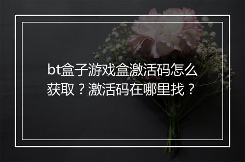 bt盒子游戏盒激活码怎么获取？激活码在哪里找？