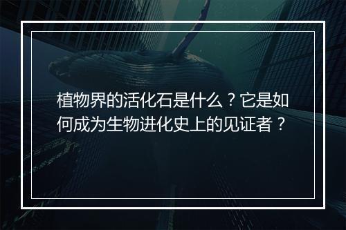 植物界的活化石是什么？它是如何成为生物进化史上的见证者？