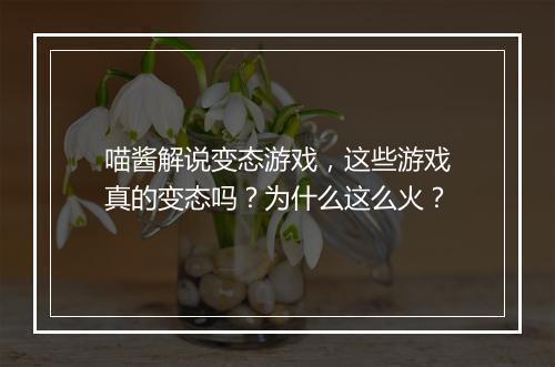 喵酱解说变态游戏，这些游戏真的变态吗？为什么这么火？